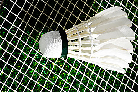 法削弱掘金 法削弱掘金