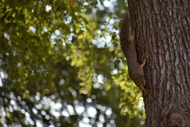 的企业不仅 的企业不仅