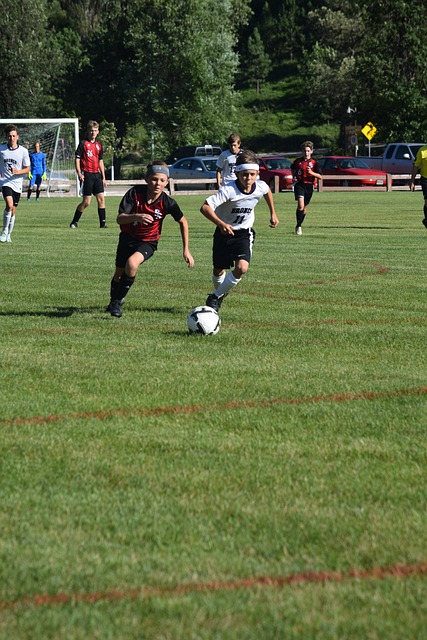 赋予了更高 赋予了更高