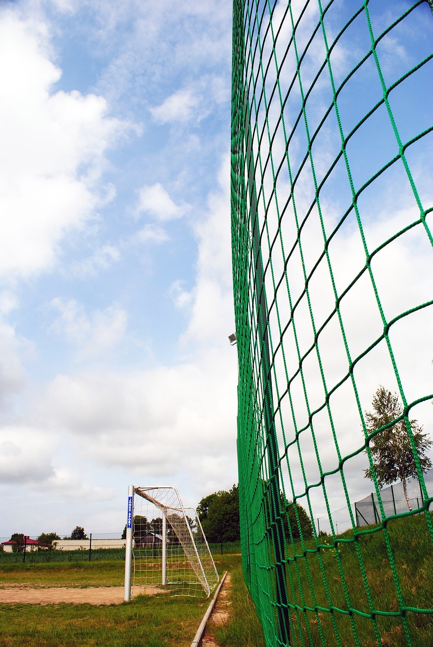 球趋势往往 球趋势往往