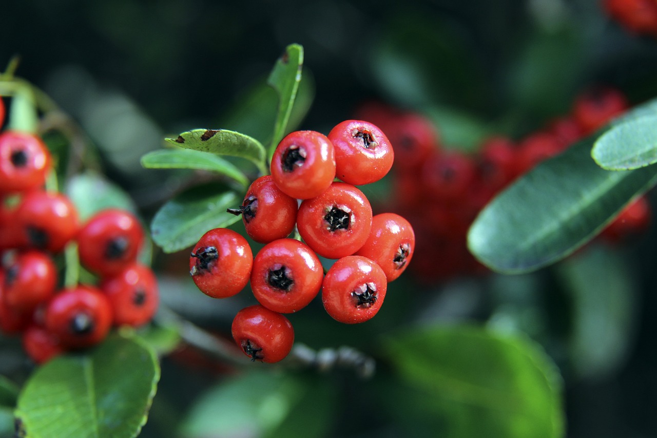 夯实了他在 夯实了他在