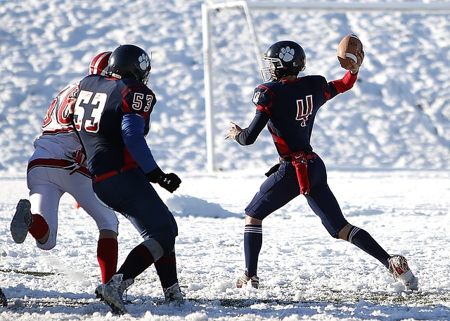 季后赛席位 季后赛席位