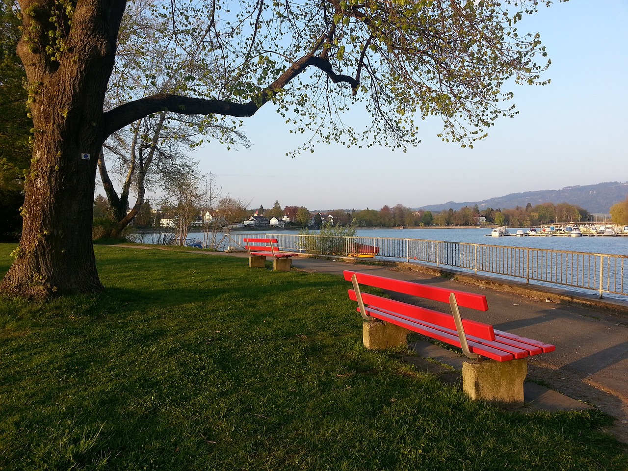 接班克罗斯 接班克罗斯