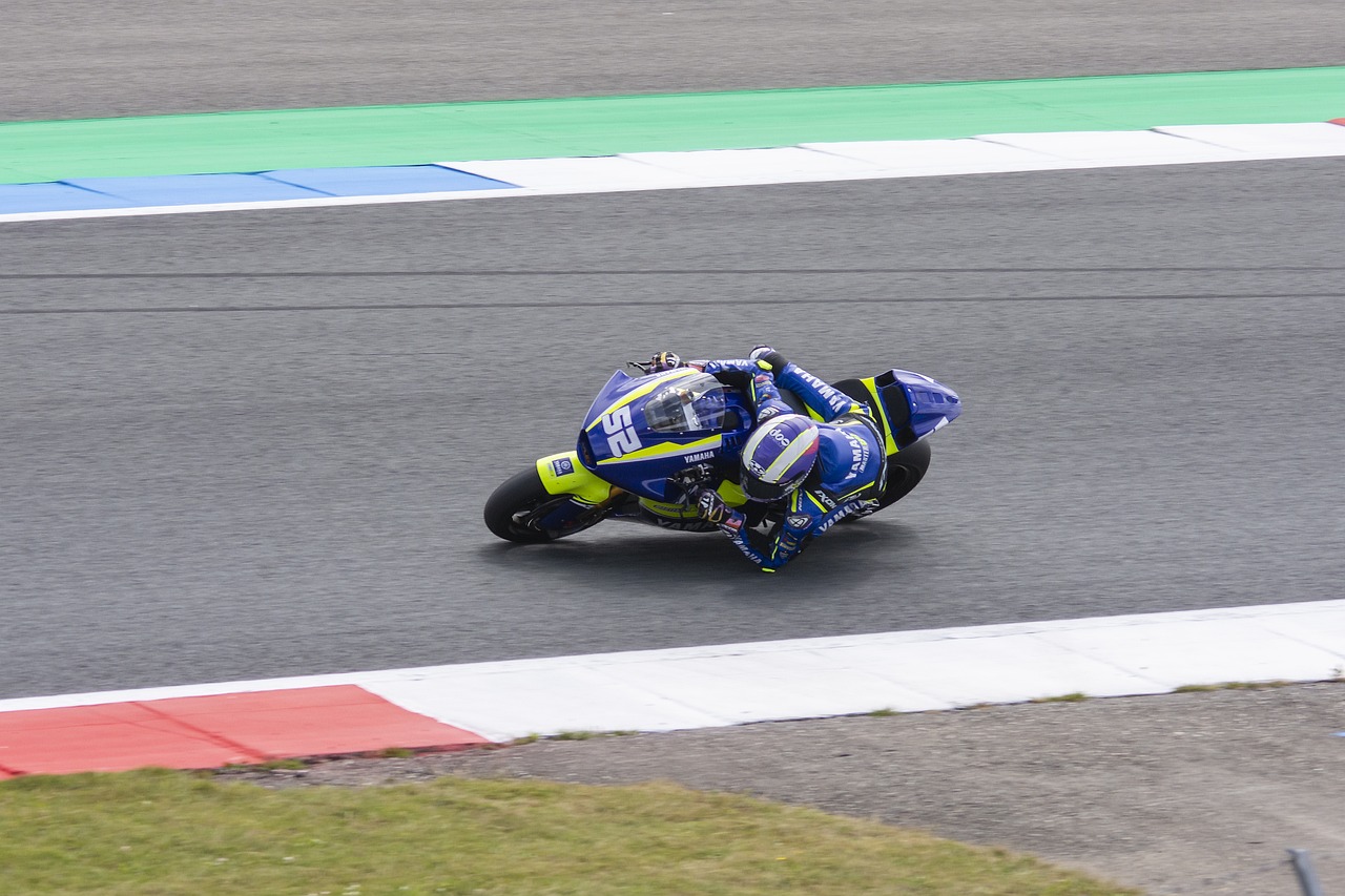 便迅速成为 便迅速成为